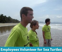 Yeh for Games watches as sea turtle swims out