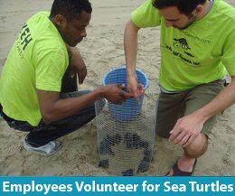 Yeh for Games protects sea turtle hatchery